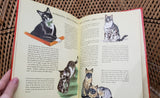 1954 The Big Book Of Cats by Gladys Emerson Cook